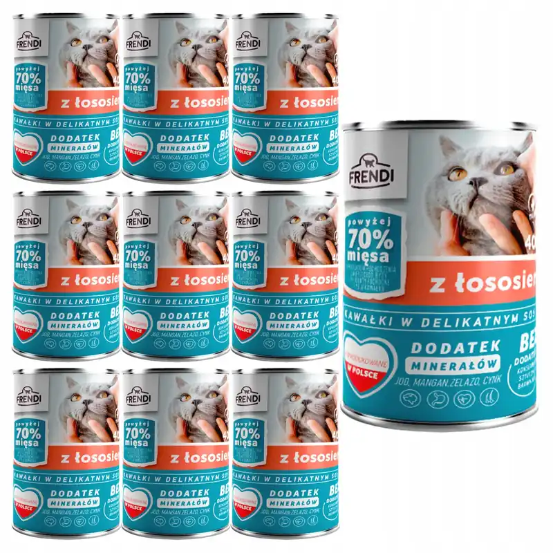 Kup teraz Frendi mokra karma dla Kota 10 x 400g Łosoś