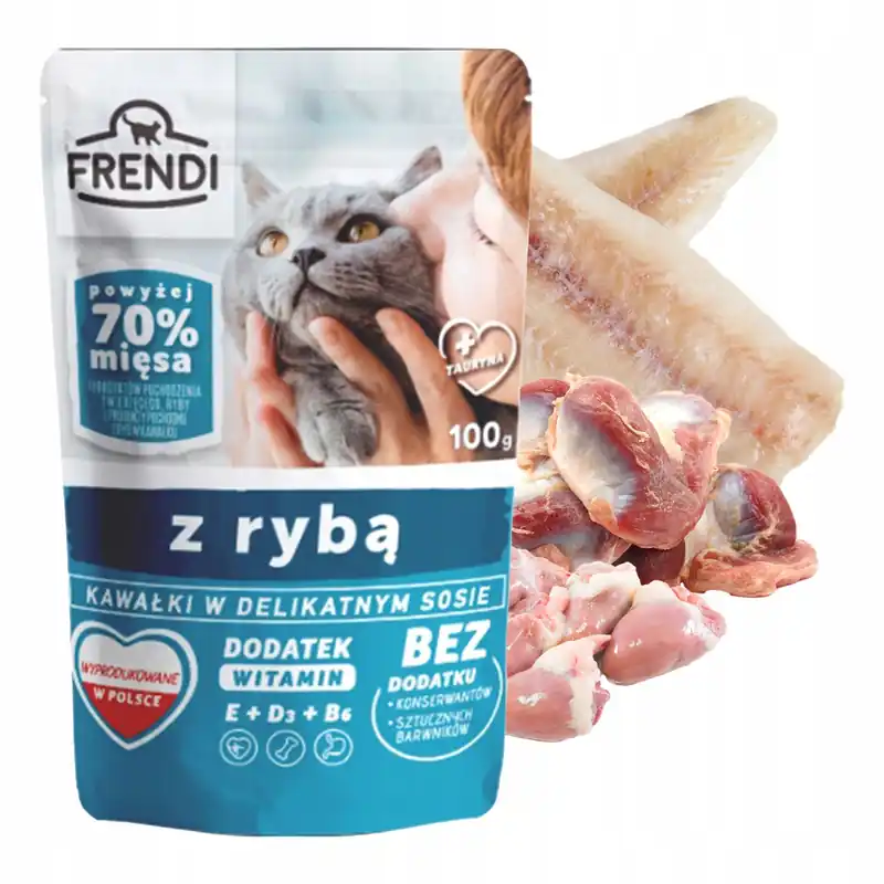Promocja Frendi mokra karma dla kota 100g Ryba