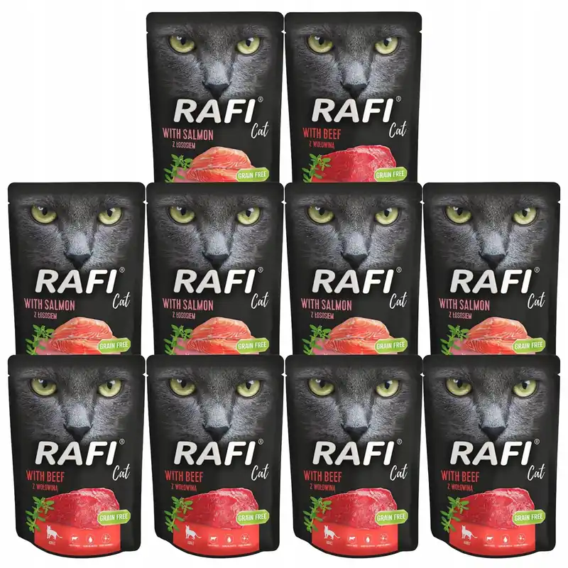 RAFI CAT Karma mokra dla kota Dolina Noteci mix smaków 10 x 300g Kup teraz