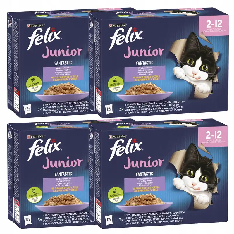 Wybór klientów PURINA Felix JUNIOR karma mokra dla kociąt mix smaków 48 x 85g