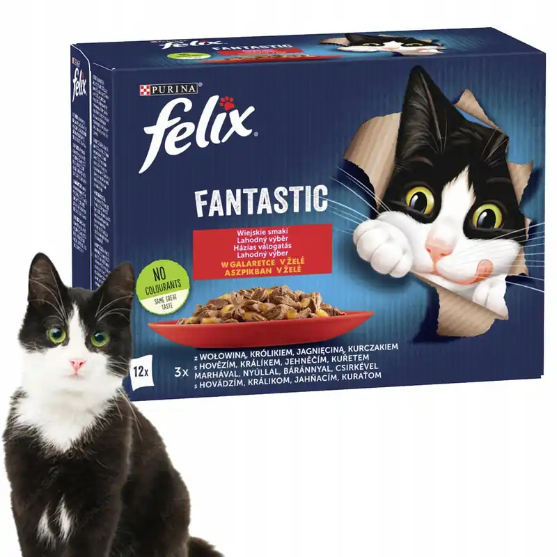 Hit cenowy PURINA Felix Fantastic karma mokra dla kota mięsny mix smaków 12 x 85g