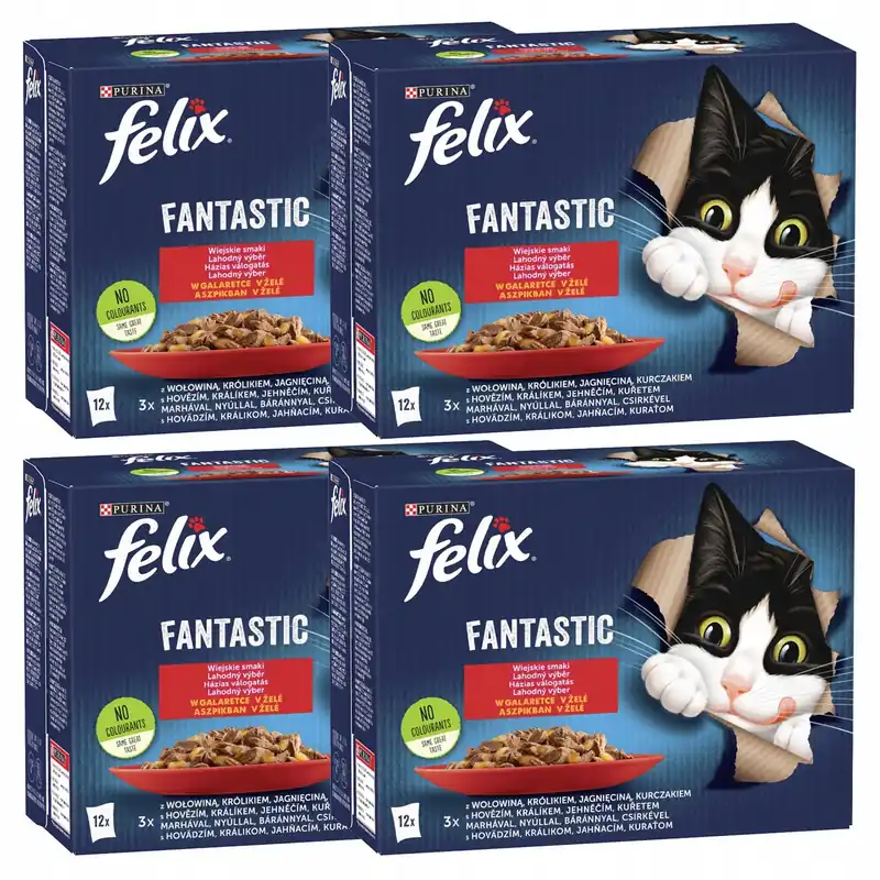 Nowy PURINA Felix Fantastic karma mokra dla kota mięsny mix smaków 48 x 85g