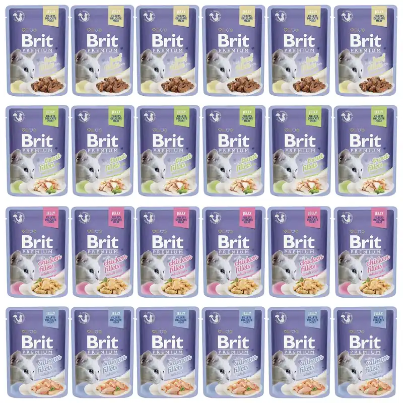 Niska cena Brit Family Plate Jelly 24 x 85g mix mokra karma dla kota