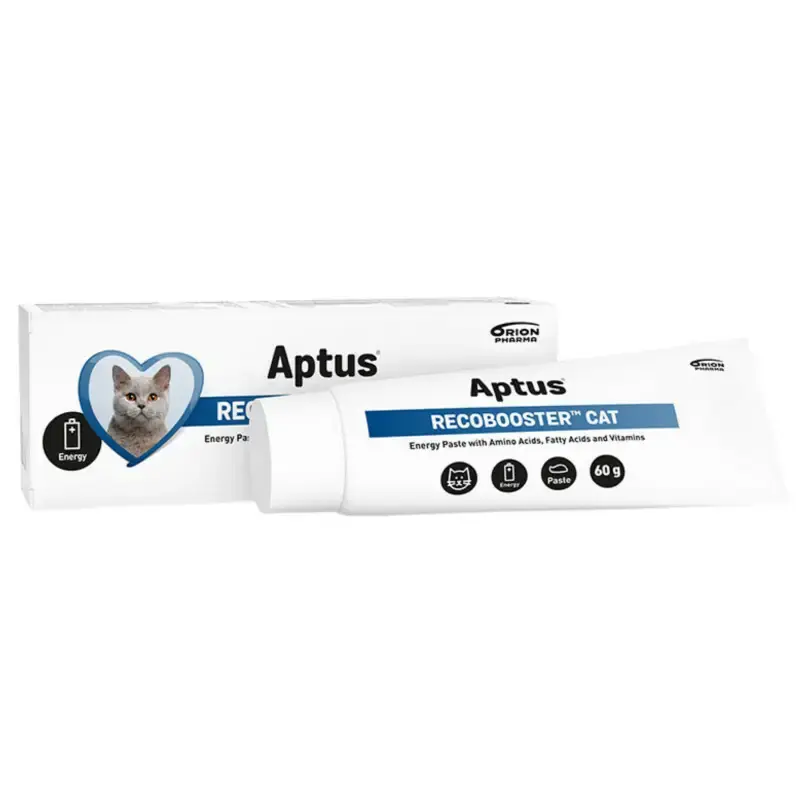 Oferta limitowana APTUS RECOBOOSTER CAT - Superskoncentrowana pasta do żywienia osłabionych i aktywnych psów, 60g
