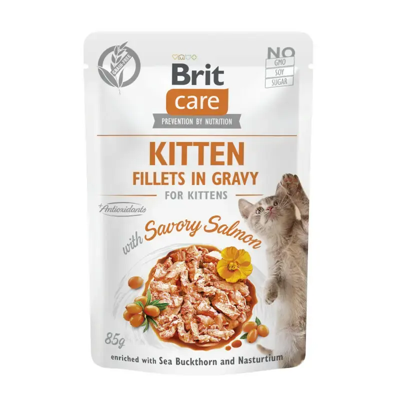 Bezpieczne zakupy Brit Care Cat Kitten Fillets in Gravy with Savory Salmon - mokra karma dla kociąt, saszetka 85g