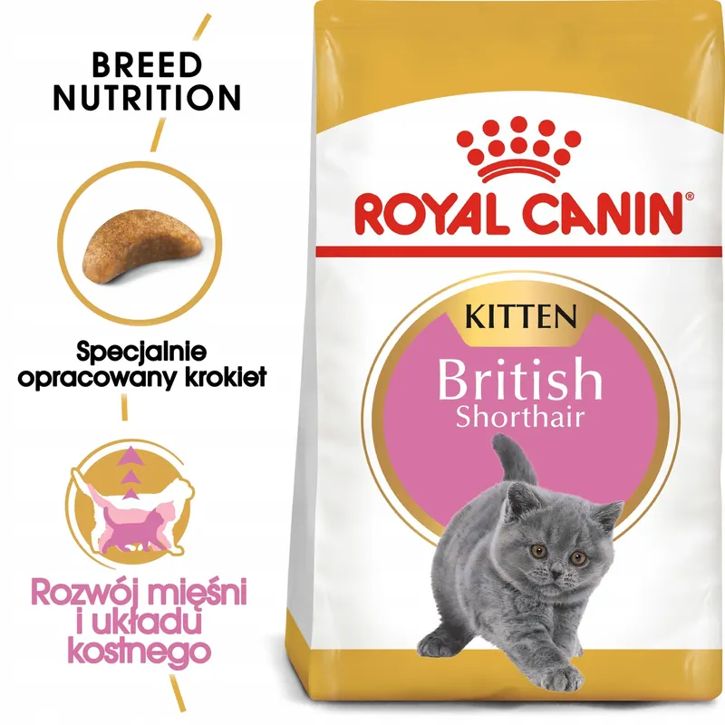 ROYAL CANIN British Shorthair Kitten karma sucha dla kociąt 2 kg Ostatnia szansa