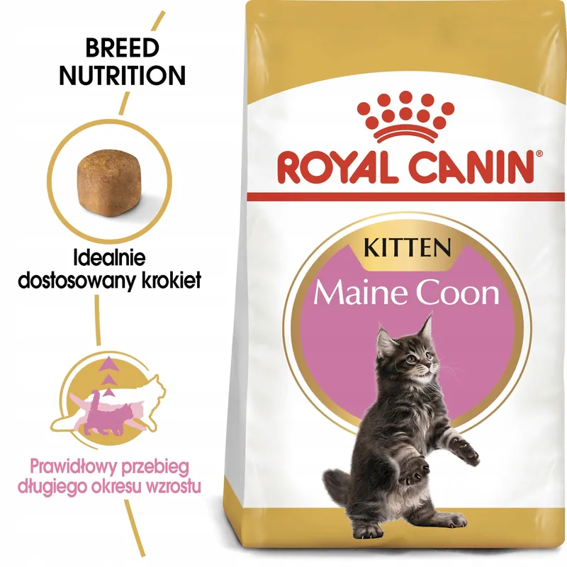 Darmowy zwrot ROYAL CANIN Maine Coon Kitten karma sucha dla kociąt, do 15 miesiąca 10 kg