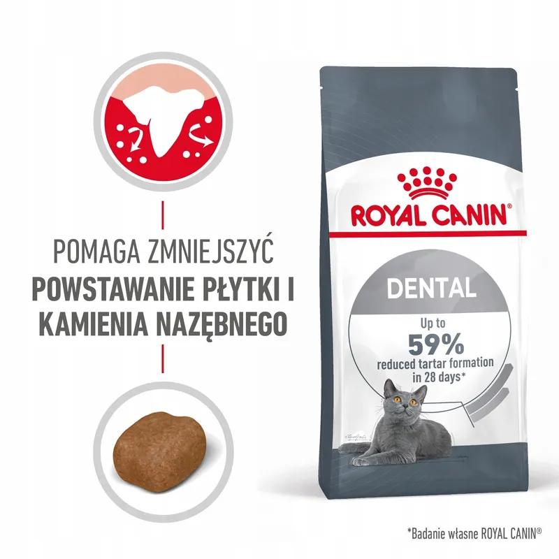 ROYAL CANIN Feline Care Nutrition Relaunch - Dental Care - Dry 8 kg Wysoka jakość