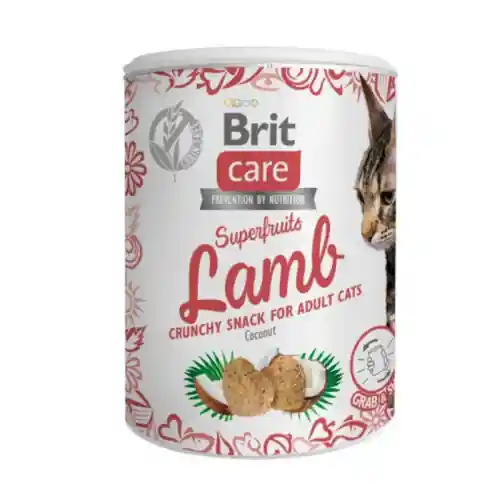 Nie przegap Brit Care Cat Superfruits Lamb 100g