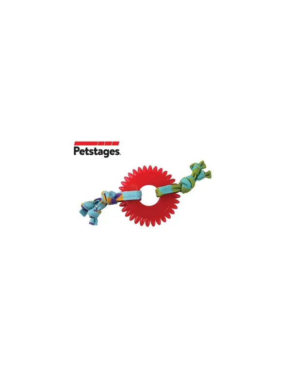 Nowość Petstages Koło do żucia dla kociąt PS715
