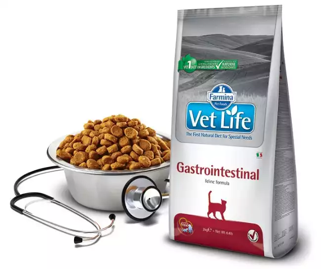 Popularny FARMINA Vet Life Gastrointestinal karma dla kotów z ostrymi lub przewlekłymi schorzeniami przewodu pokarmowego 400g, 2kg i 10kg