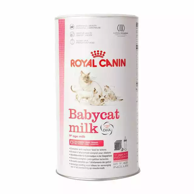 ROYAL CANIN Babycat Milk - mleko dla kociąt 300g. Wyjątkowa oferta