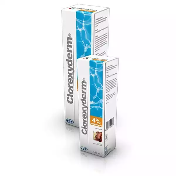 Szybka wysyłka CLOREXYDERM Soluzione 4% FOAM - Preparat bakterio- i grzybiczobójczy, zapobiegający zakażeniom skóry dla psów i kotów, 100ml