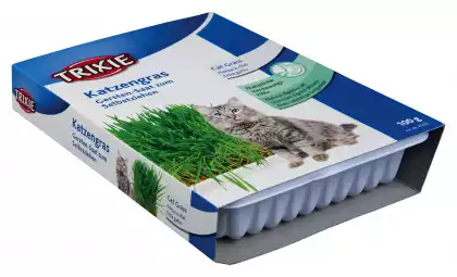 Ograniczona ilość TRIXIE Trawa dla kota do uprawy w pojemniku 100g