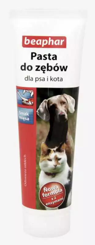 Łatwy zwrot Beaphar Pasta do zębów dla psa i kota, smak mięsny, 100g