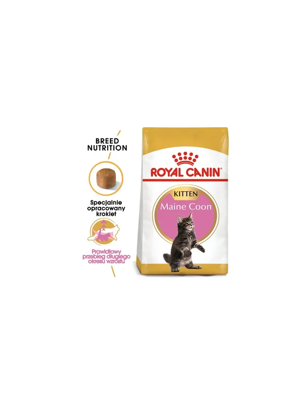 Szybka dostawa Royal Canin Maine Coon Kitten karma sucha dla kociąt, do 15 miesiąca, rasy maine coon 400g