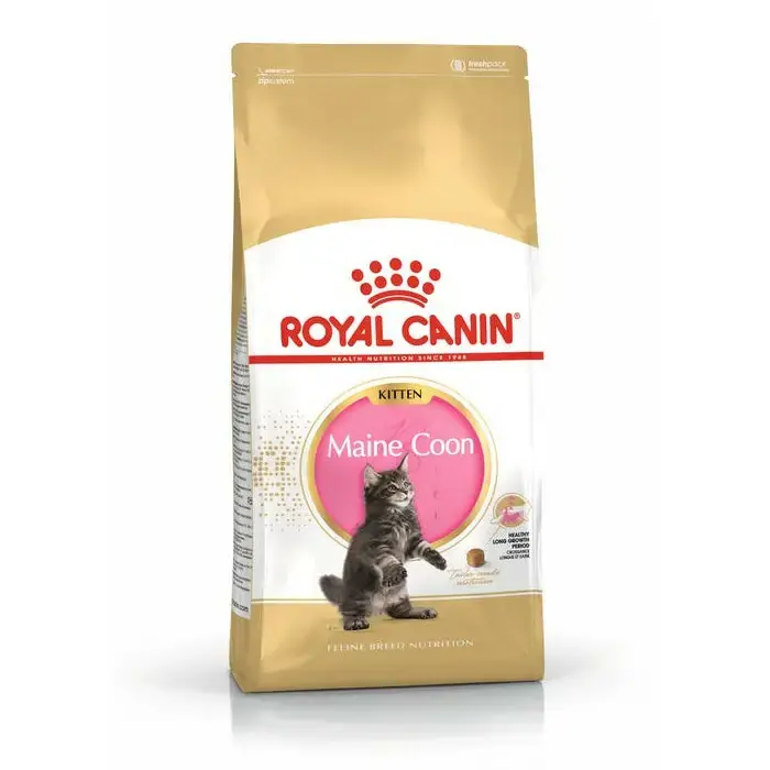 Tylko dziś ROYAL CANIN Kitten Maine Coon - karma dla kotek w ciąży oraz kociąt rasy Maine Coon