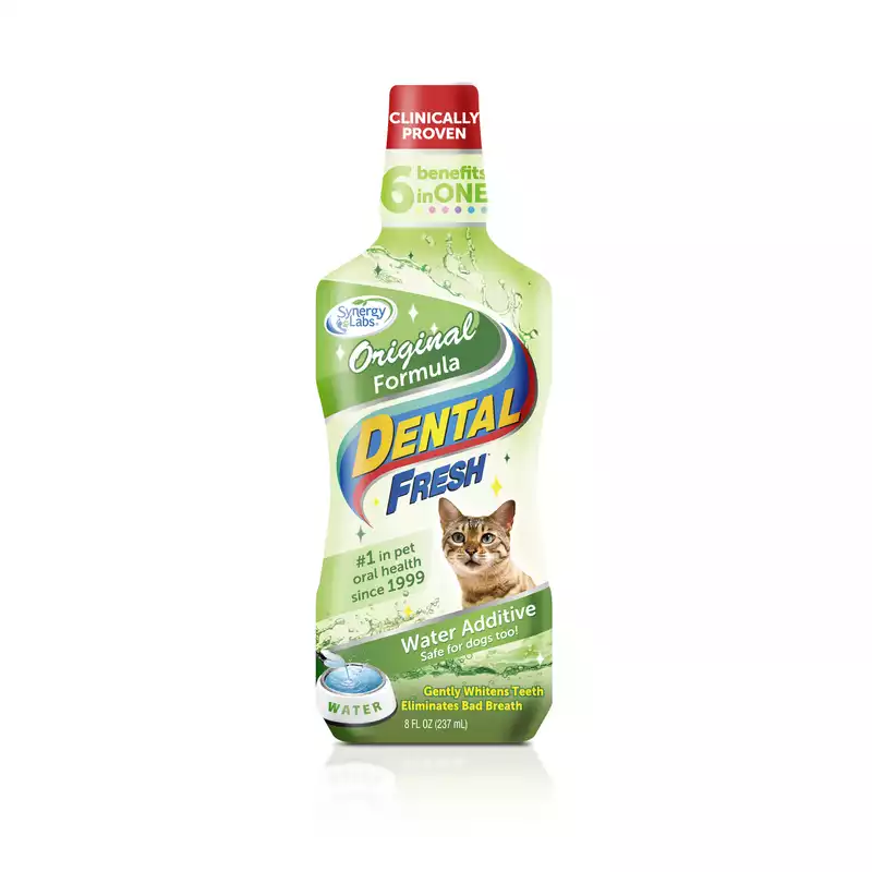 Nowy Dental Fresh preparat do higieny jamy ustnej i zębów dla kota, 236 ml