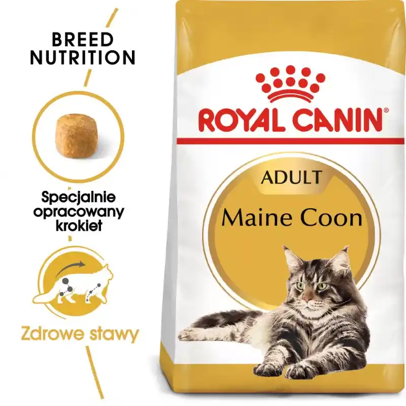 Promocja ROYAL CANIN Maine Coon Adult karma sucha dla kotów dorosłych rasy maine coon
