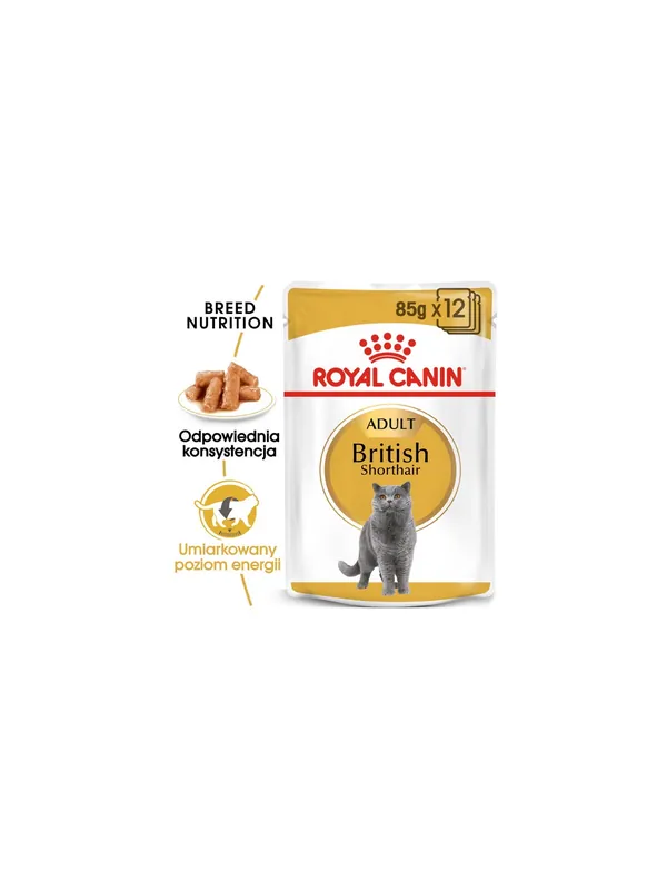 Taniej Royal Canin British Shorthair karma mokra w sosie dla kotów dorosłych rasy brytyjski krótkowłosy saszetka 85g