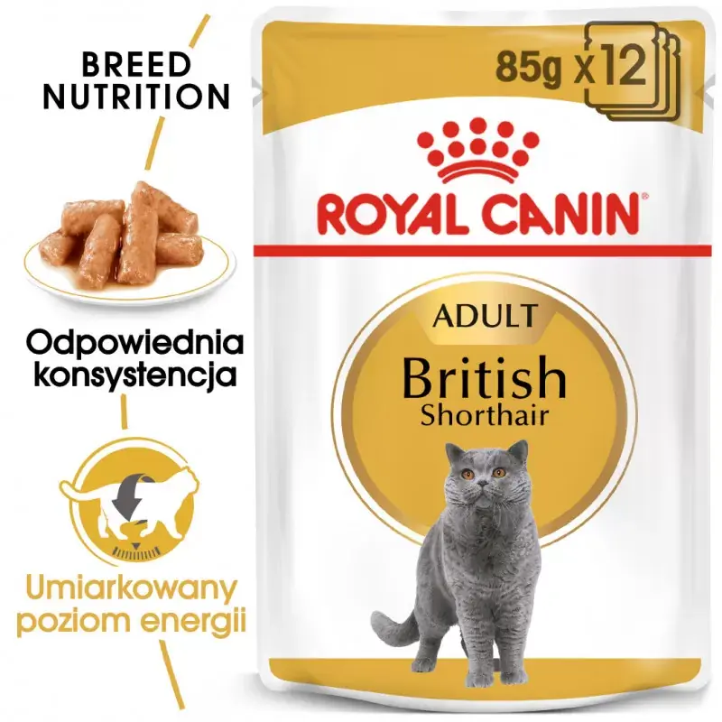 ROYAL CANIN British Shorthair karma mokra w sosie dla kotów dorosłych rasy brytyjski krótkowłosy Zamów teraz