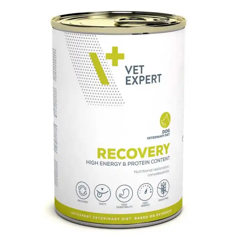Wyprzedaż VETEXPERT 4T Veterinary Diet Dog Recovery