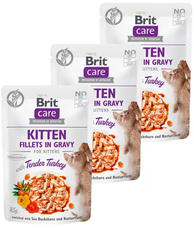 Brit Care Fillets with Turkey for Kitten Karma z indykiem w sosie dla kociąt 12x85g PAKIET Sprawdź teraz