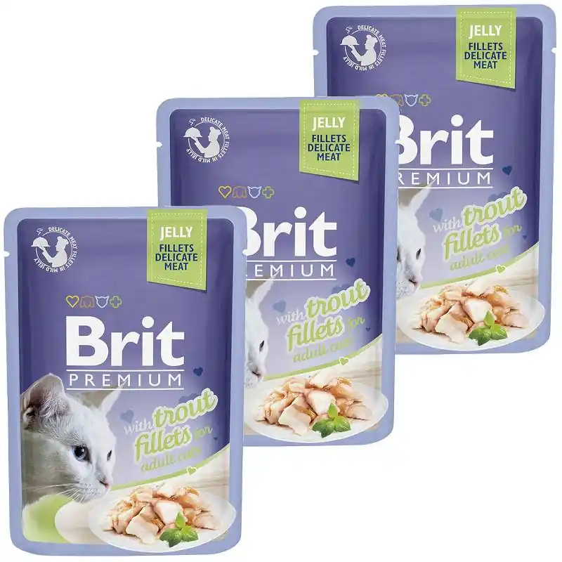 Wyjątkowa oferta Brit Premium with Trout Fillets for Adult Cats Karma z pstrągiem w galaretce dla kota 24x85g PAKIET