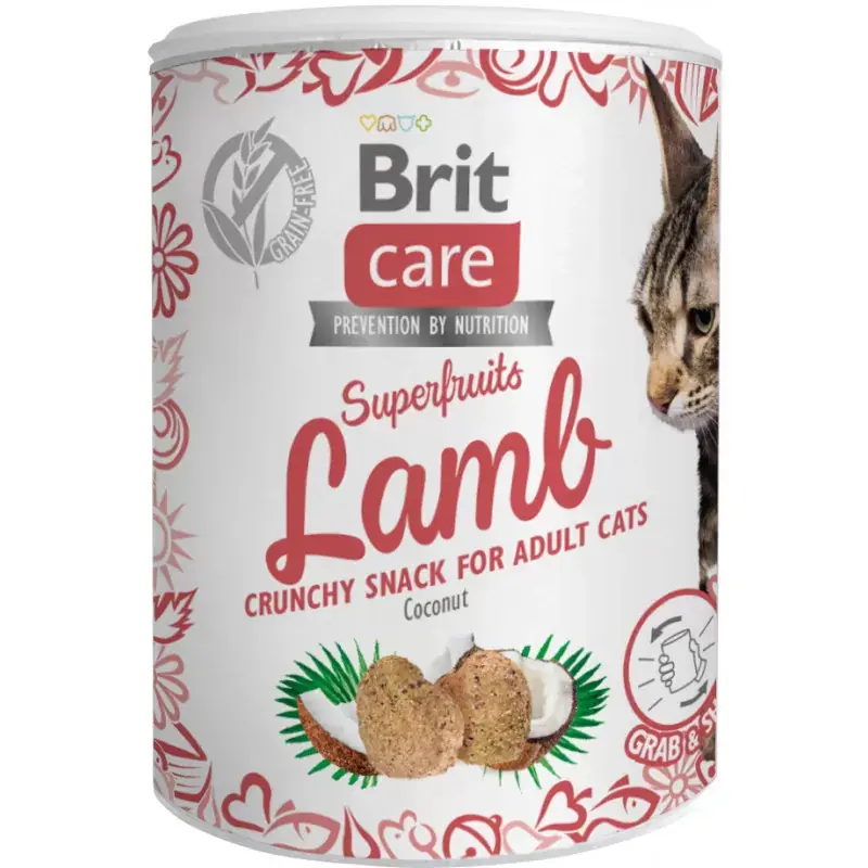 Zamów dziś BRIT CARE Cat Snack Superfruits Lamb 100g