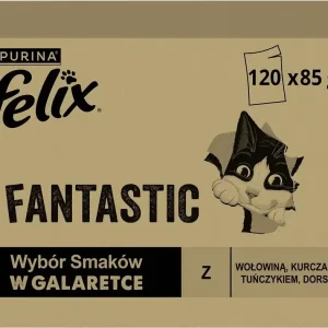 Szybka wysyłka Felix Fantastic Mixed Selection Karma w galaretce dla kota 120x85g