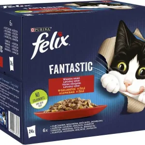 Rabat Felix Fantastic Wiejskie smaki Karma w galaretce dla kota 24x85g