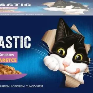 Felix Fantastic Wybór Smaków w galaretce dla kota 44x85g Zniżka