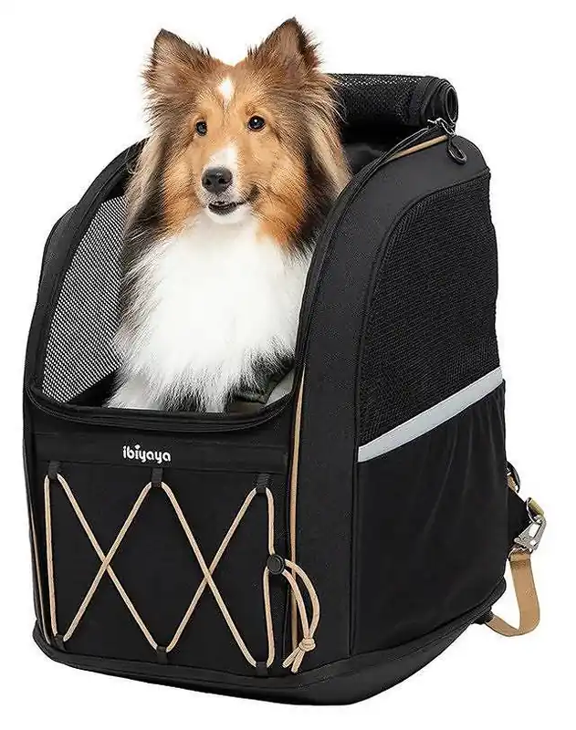 Wyjątkowa oferta Ibiyaya Plecak dla psa Champion Jet Black kolor czarny nr kat. FC2345-B