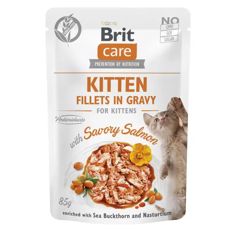 BRIT CARE Cat Fillets Gravy Kitten Savory Salmon 85g (saszetka) Ostatnie sztuki