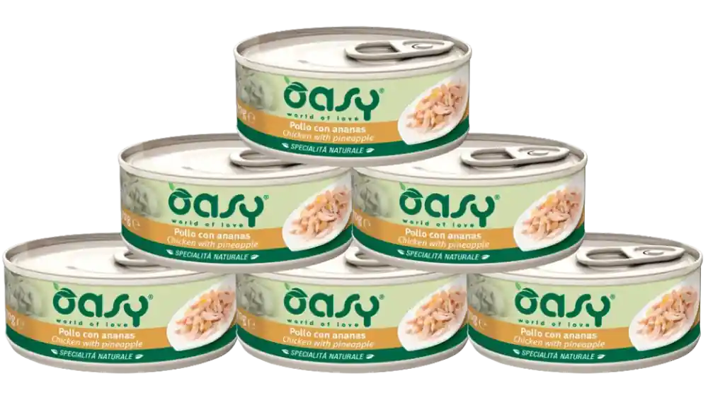 Wyprzedaż Oasy Natural Adult Chicken with Pineapple Karma z kurczakiem i ananasem dla kota 24x70g PAKIET