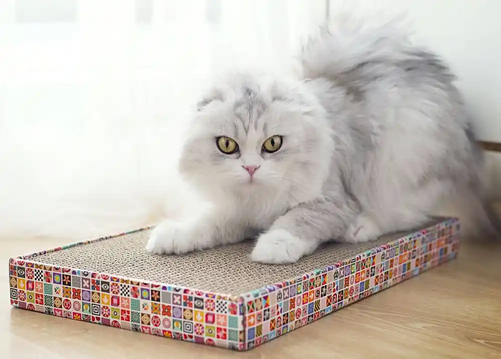 Pet Supplies Drapak kartonowy dla kota Scratch Board szeroki PS-0628 Ograniczona ilość