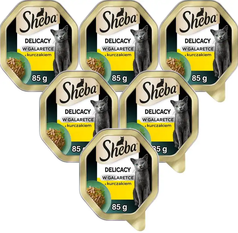 Promocja Sheba Delicacy Karma z kurczakiem w galarecie dla kota 22x85g PAKIET