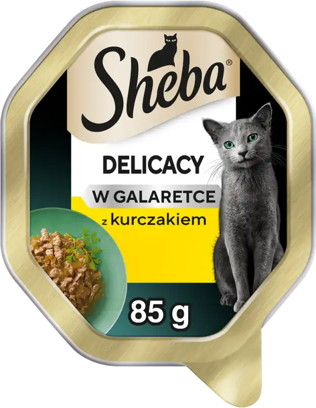 Sheba Delicacy Karma z kurczakiem w galarecie dla kota 85g Tylko dziś