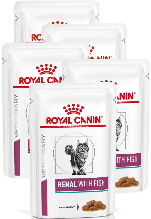 Kup online Royal Canin VET CAT Renal with Fish Karma z rybą dla kota 12x85g PAKIET