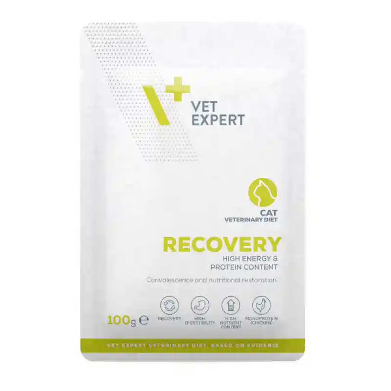 VETEXPERT 4T Vet. Diet Recovery Cat 100g Obniżka ceny