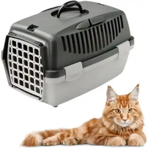 Transporter Gulliver dla psa kota kr贸lika 48x32x31cm Szary Ograniczona ilość