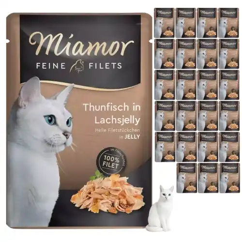 Miamor Feine Filets tu艅czyk w galaretce 艂ososiowej karma dla kota 24x100 g Do wyczerpania zapasów