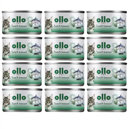 Sprawdź teraz Ollo Cat nr 8 Tu艅czyk&Algi 12x70g