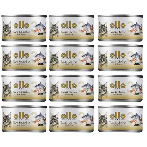 Ollo Cat nr 3 Tu艅czyk Kurczak Krewetki Mokra karma dla kota koci膮t 12 x 70g Super okazja