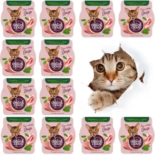 Delickcious Zupa z kurczakiem szynk膮 i szpinakiem 12 x 80g karma dla kot贸w Szybka wysyłka