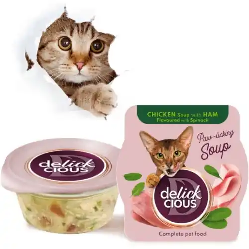 Promocja Delickcious Zupa z kurczakiem szynk膮 i szpinakiem 80g karma dla kot贸w