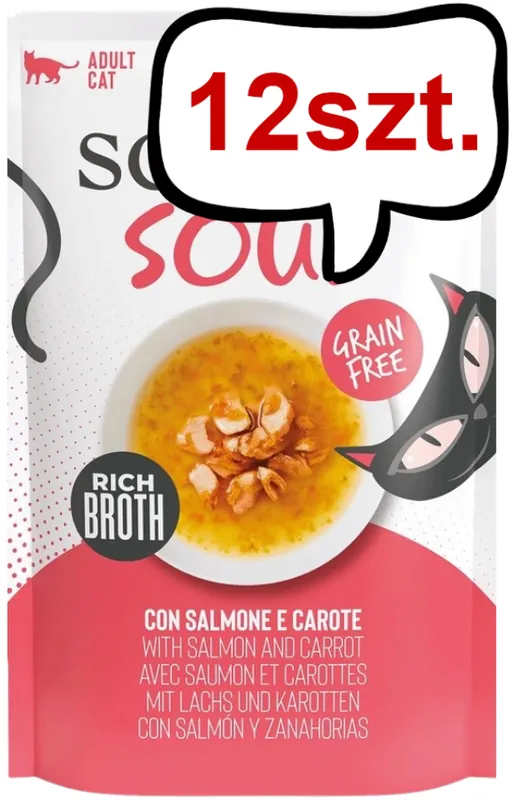 Schesir Soup with Salmon&Carrot Mokra Karma dla kota op. 40g Pakiet 12szt. Bestseller