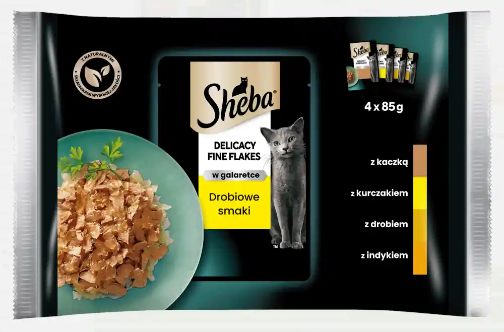 Popularny Sheba Delicacy in Jelly Adult Kolekcja smaków drobiowych w galaretce Mokra Karma dla kota op. 4x85g
