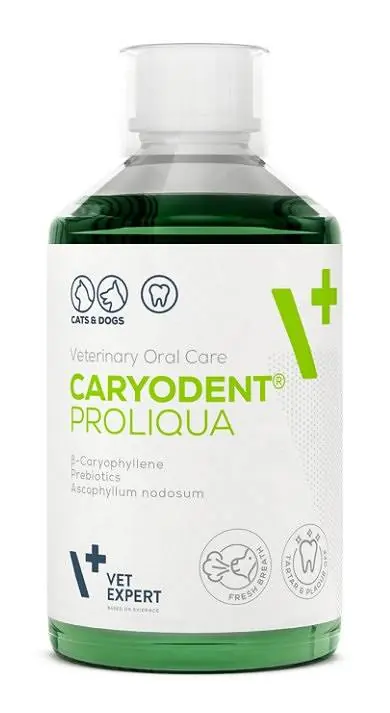 VetExpert Caryodent Proliqua dla psa i kota op. 250ml Premium