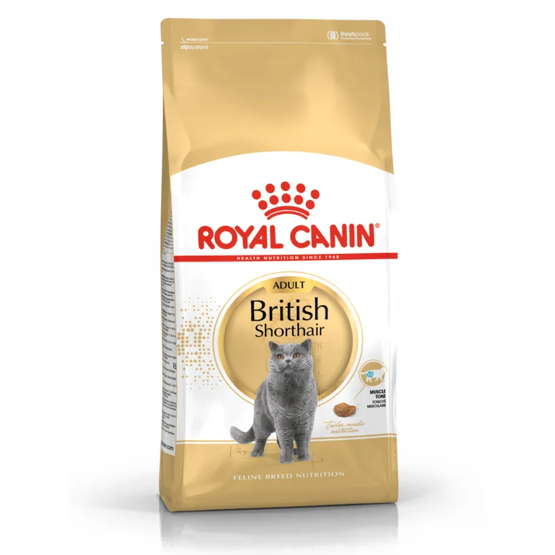 Niska cena ROYAL CANIN British Shorthair 4kg karma sucha dla kotów dorosłych rasy brytyjski krótkowłosy